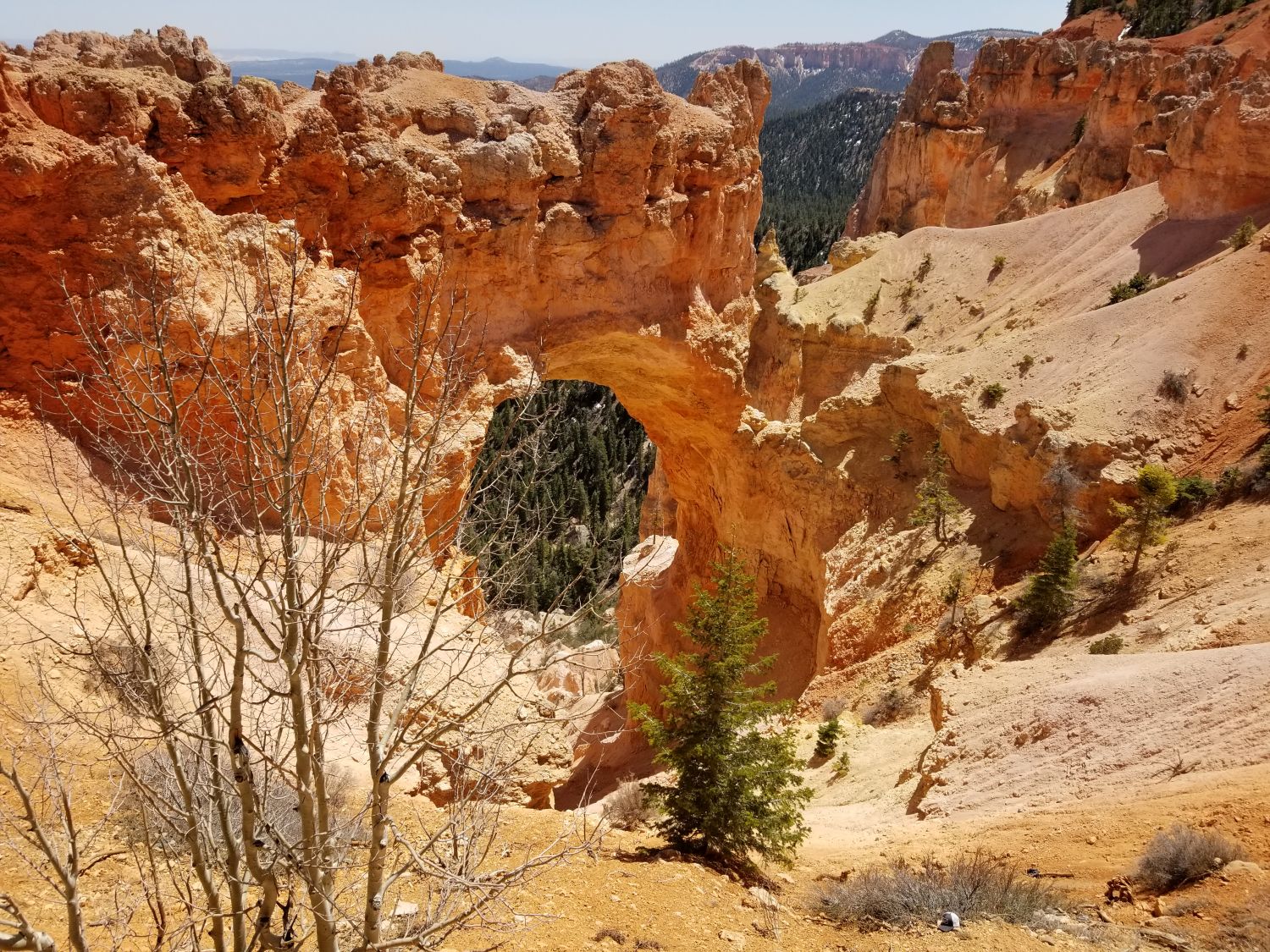 Natural Bridge 